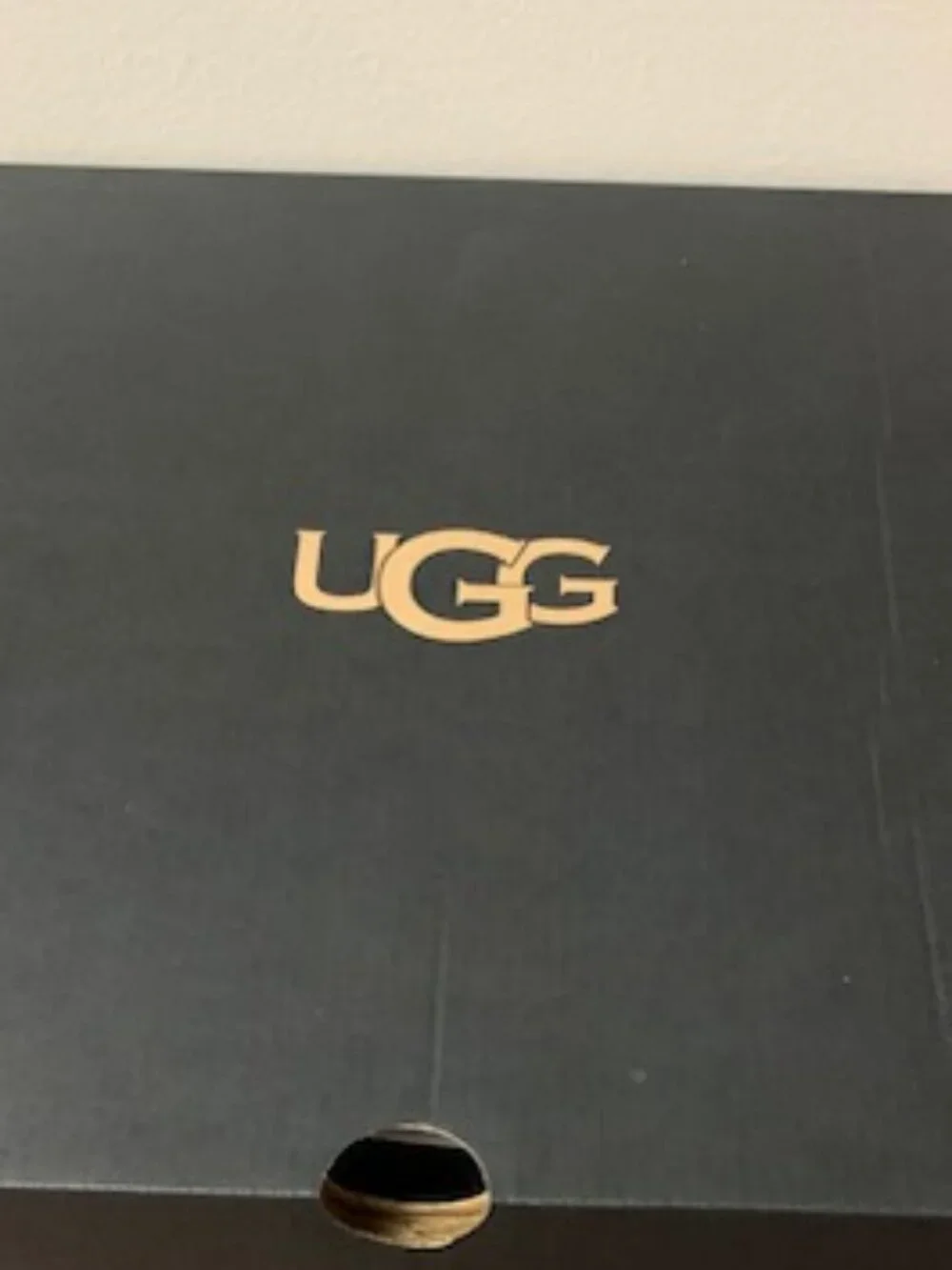 NIB Mens Ugg boots